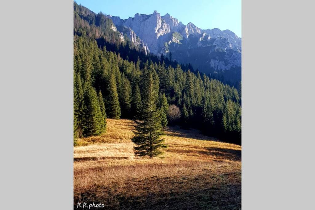 Domek Goralski Parzenica Kościelisko Exterior foto
